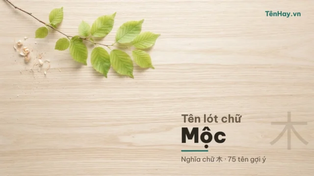 Tên lót chữ Mộc: 75 tên, nghĩa chữ 木 & phân biệt với mệnh Mộc